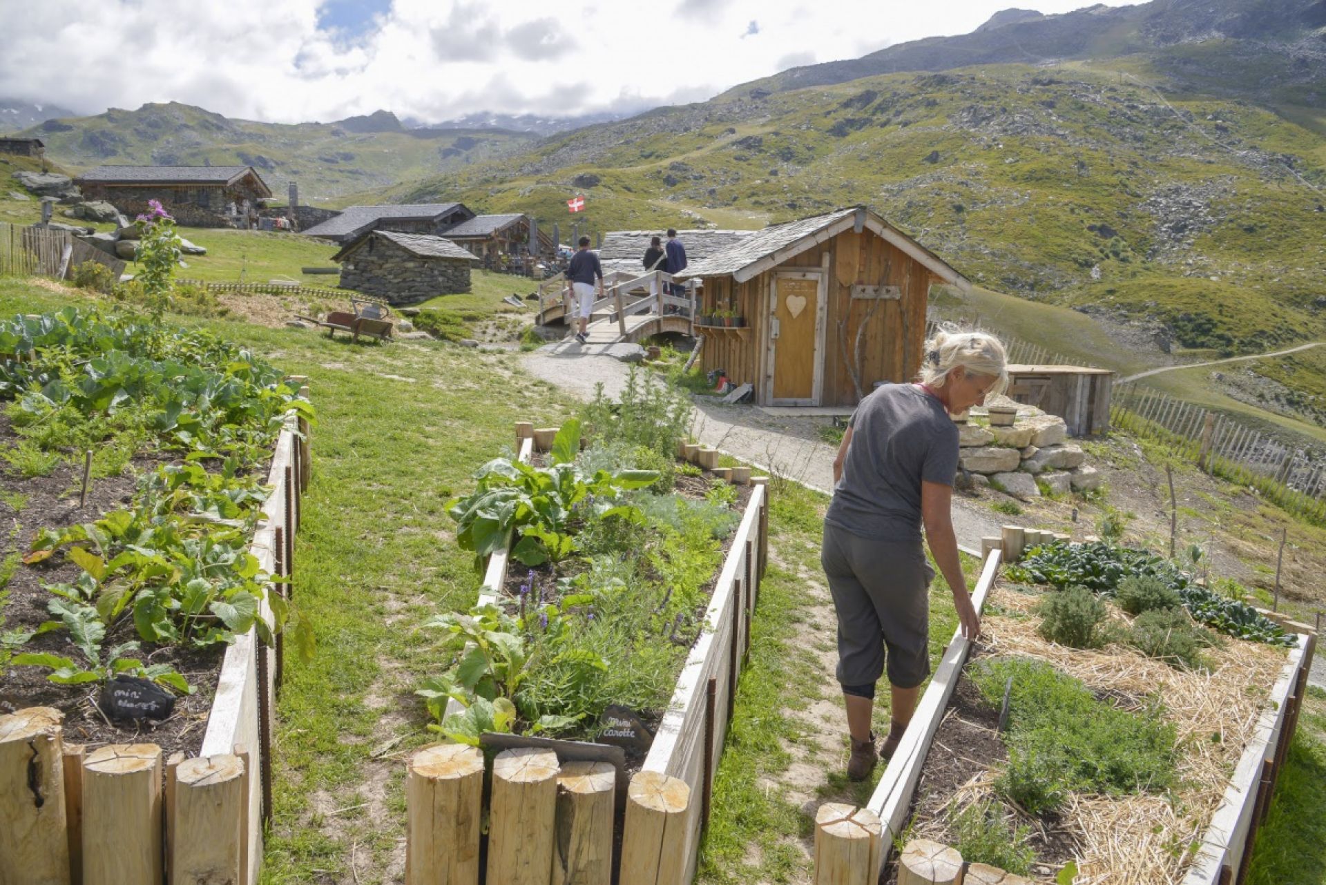 Le jardin en permaculture